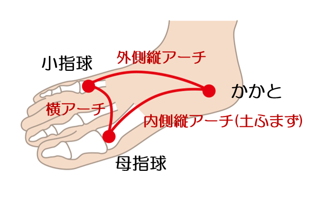 外反母趾に関係する「開張足」と「偏平足」